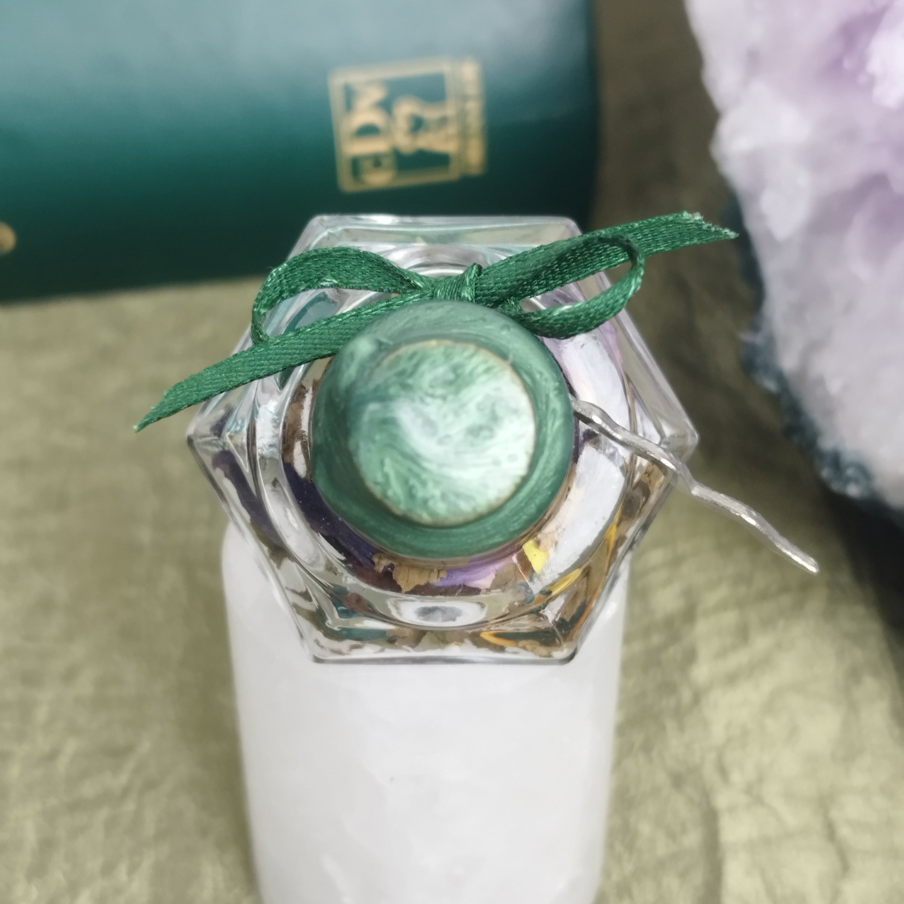 Talisman Schlange / Transformation