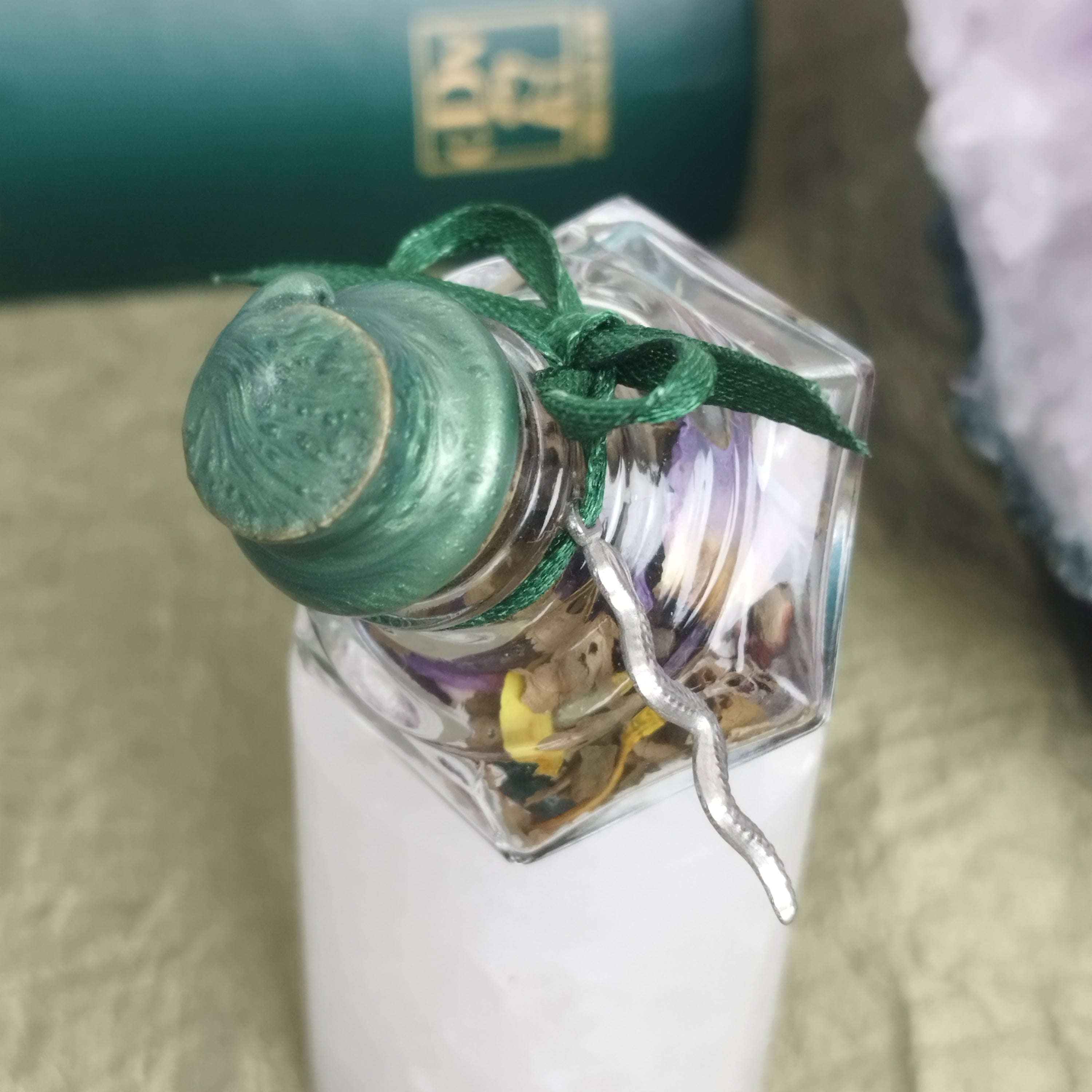 Talisman Schlange / Transformation
