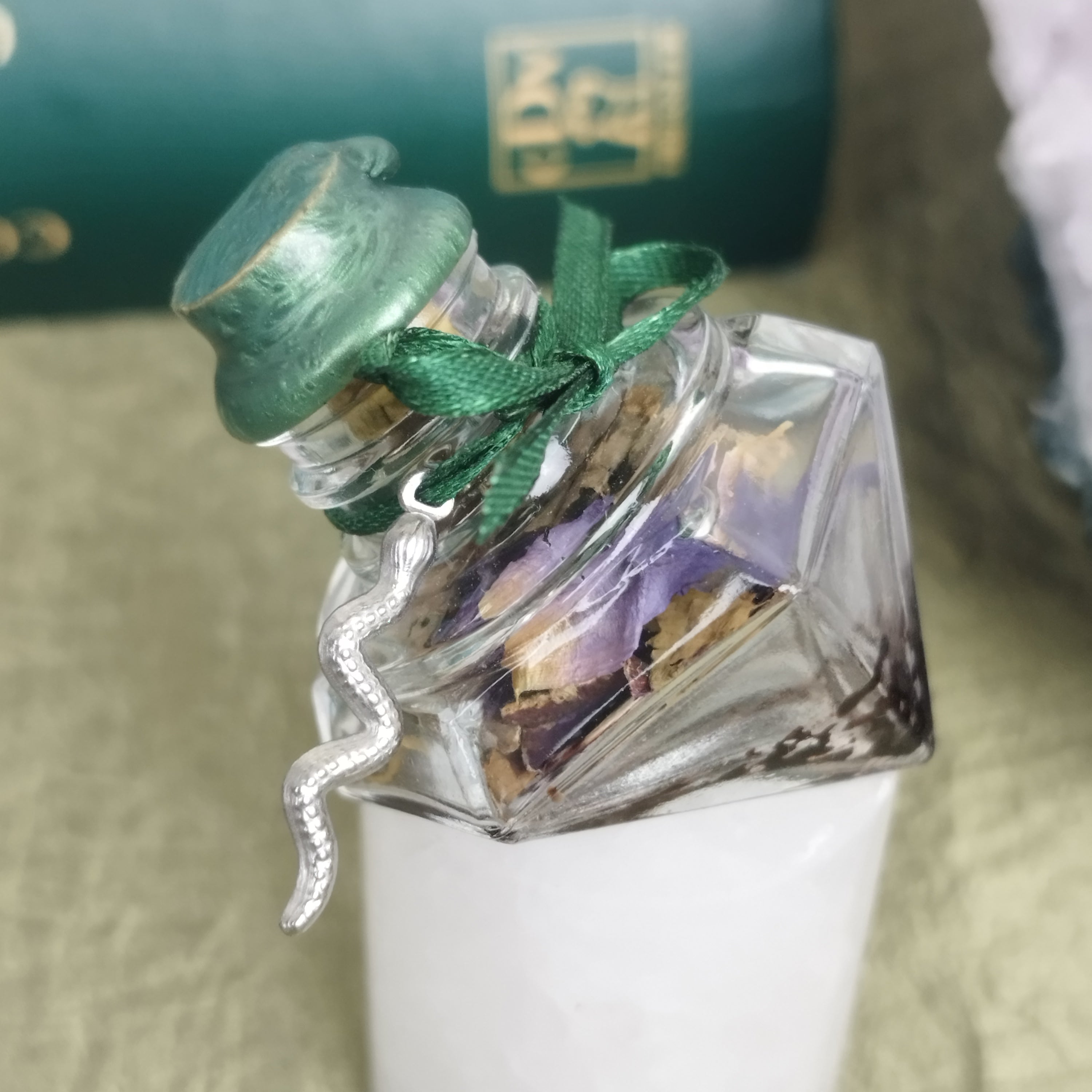 Talisman Schlange / Transformation