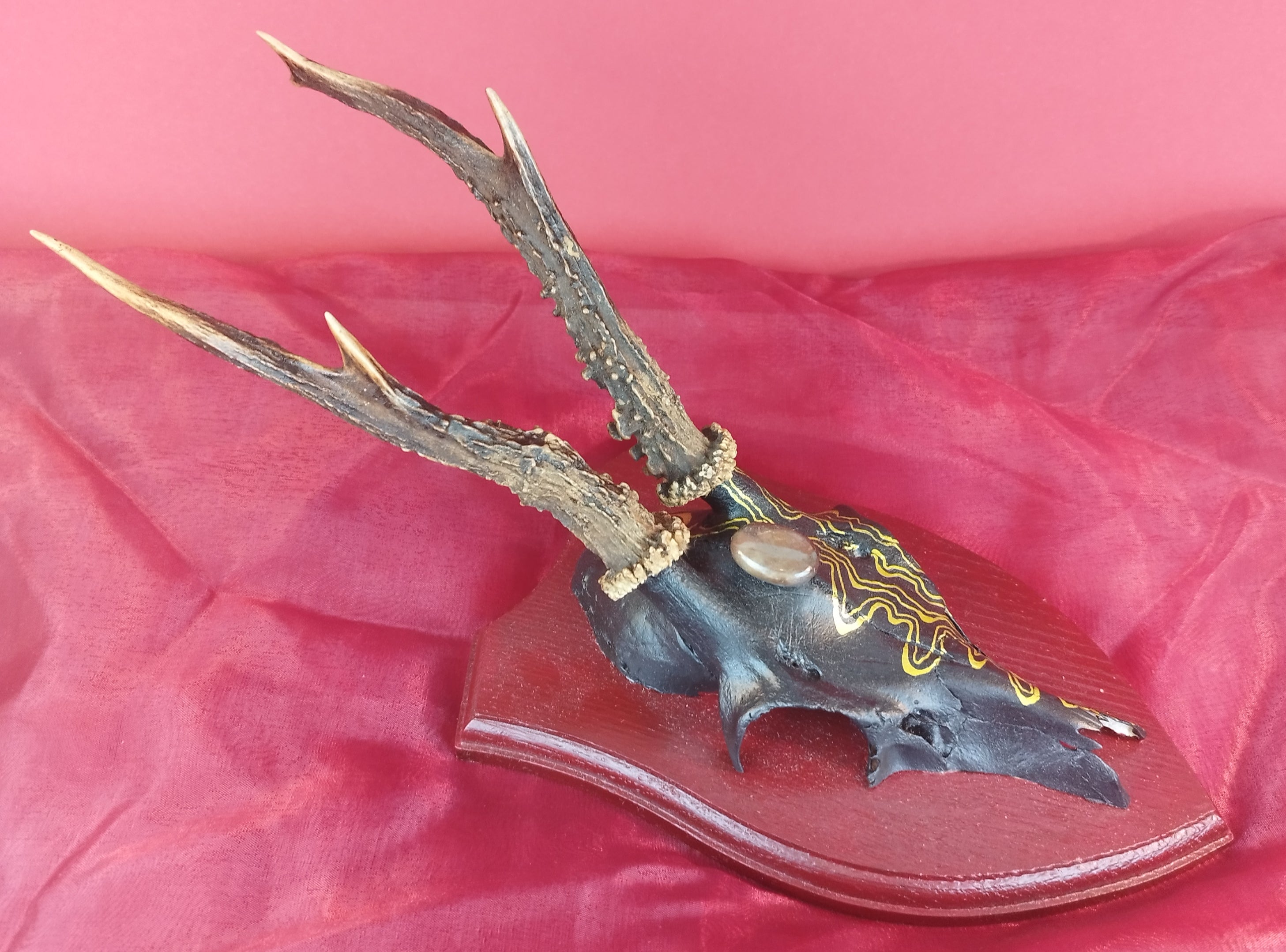 Hüter: Lebenslinien