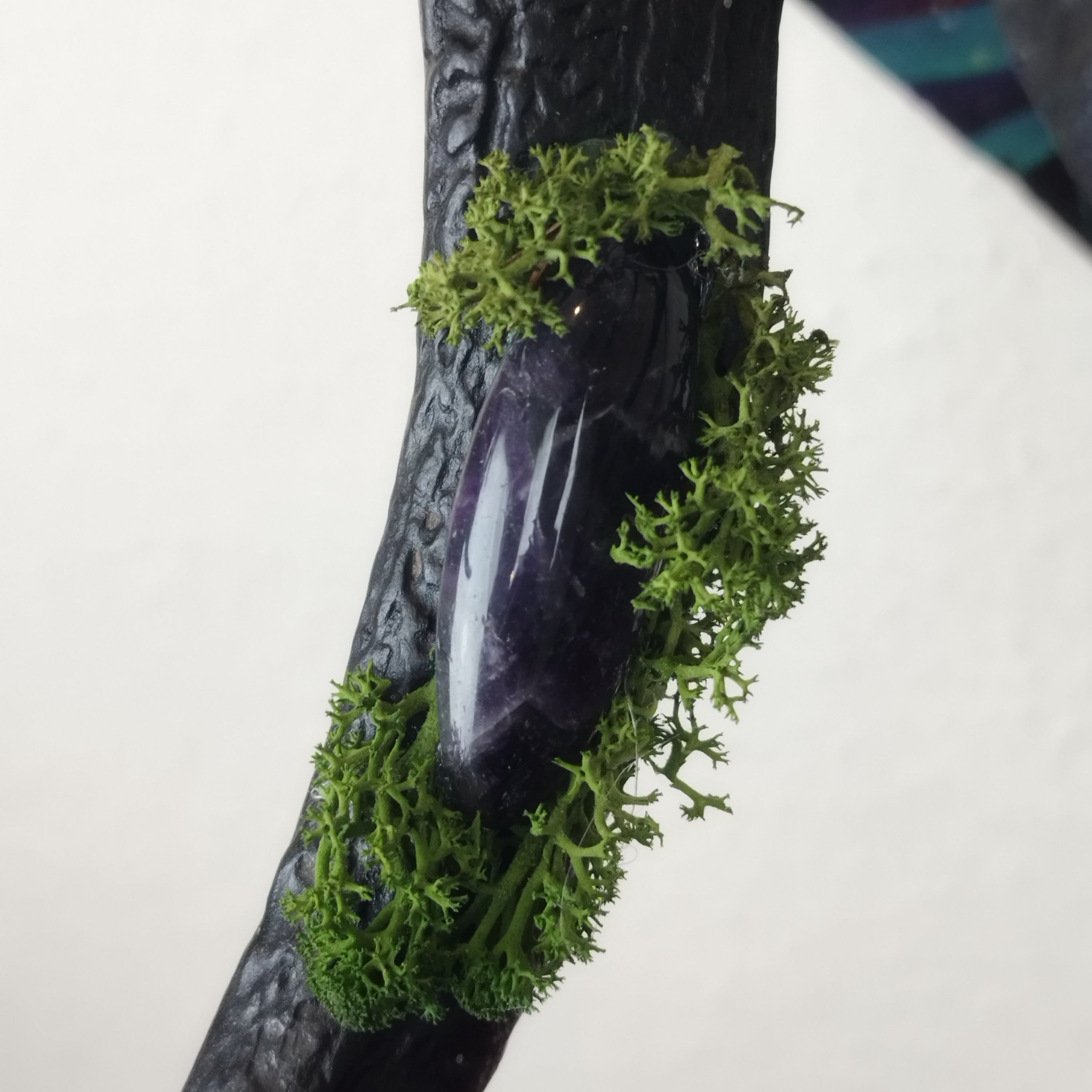 Auftrag: Hüter Schöpfung